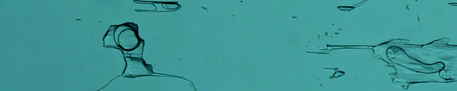 Two-phase inclusions in tourmaline from Namibia