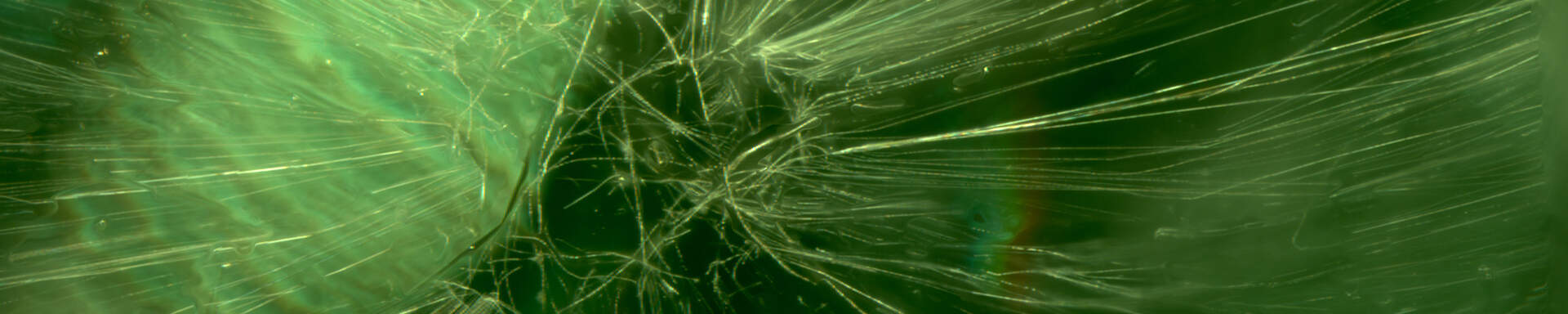 Inclusions of chrysotile fibres in demantoide garnet from Ural Mountains, Russia