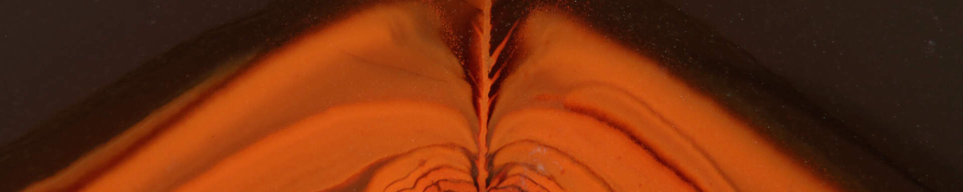 «Red fox agate» from Patagonia, Argentina