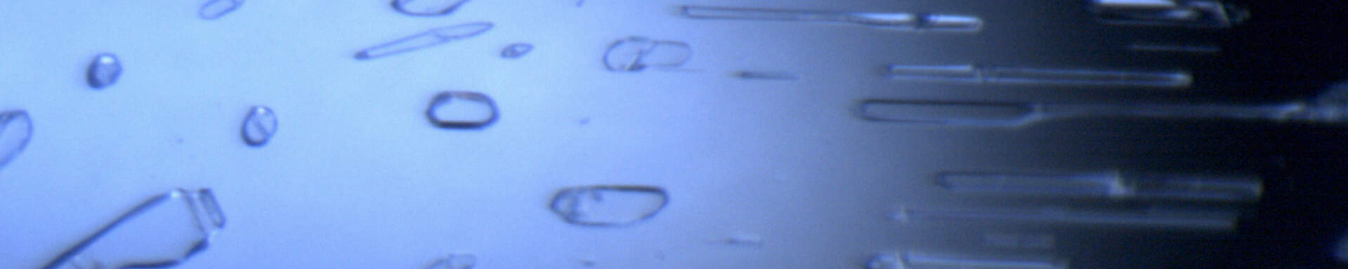 Two-phase inclusions in sapphire, Sri Lanka