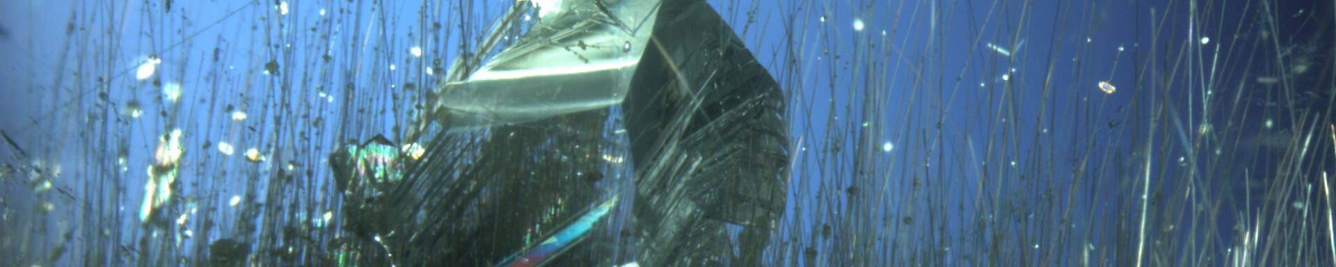 Inclusions of rock crystal and rutile needles in quartz, Brazil, polarised light