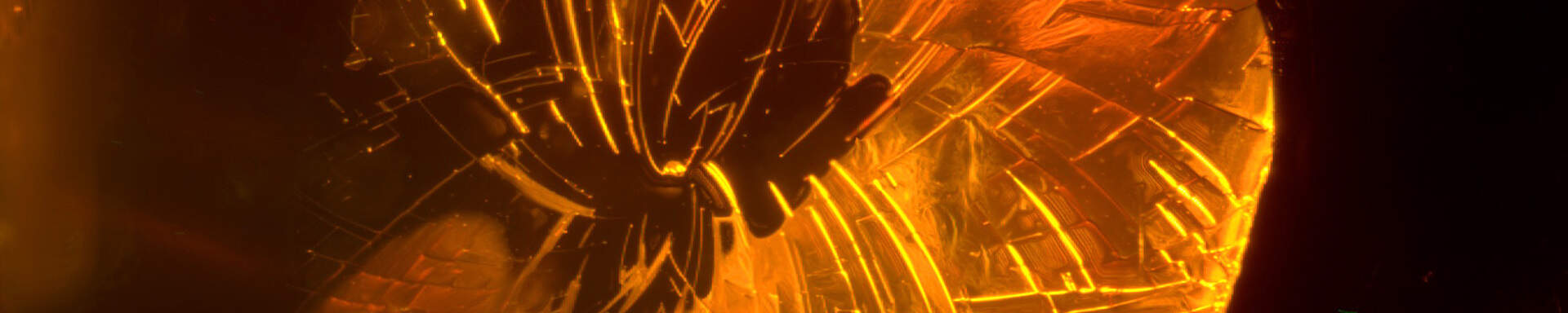 Stress fissure («sun spangle») in baltic amber