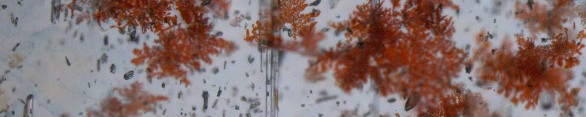 Inclusions of hematite in aquamarine, Tanzania