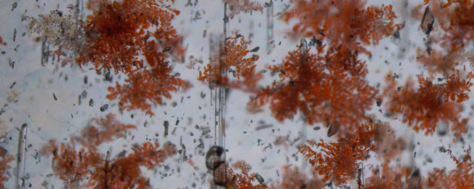 Inclusions of hematite in aquamarine, Tanzania