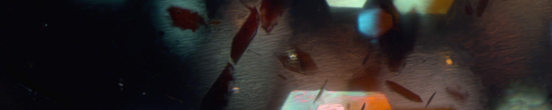 Inclusions of hematite in feldspar (sunstone), India