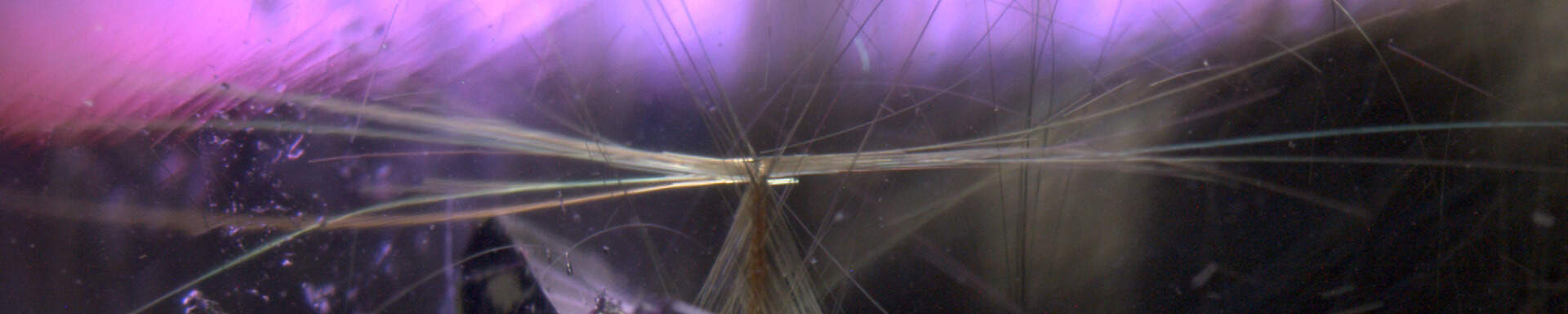 Inclusions of rutile (dark crystal and fine needles) and clusters of zircon grains in umbalite garnet, Tanzania