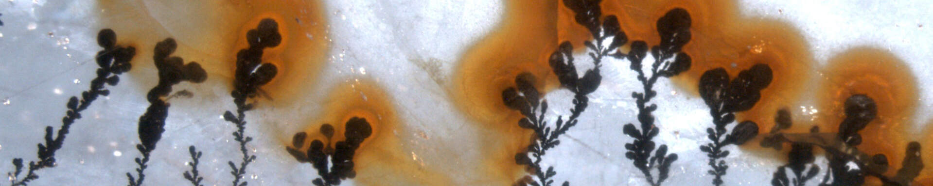 Dendrites in agate
