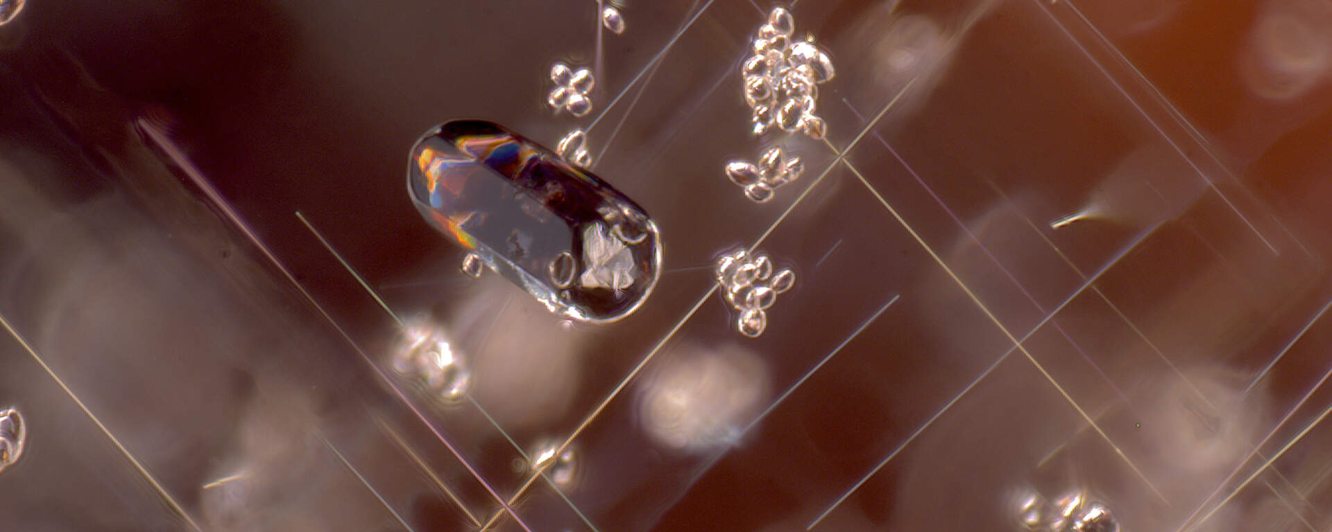 Inclusions of rutile (dark crystal and fine needles) and clusters of zircon grains in umbalite garnet, Tanzania