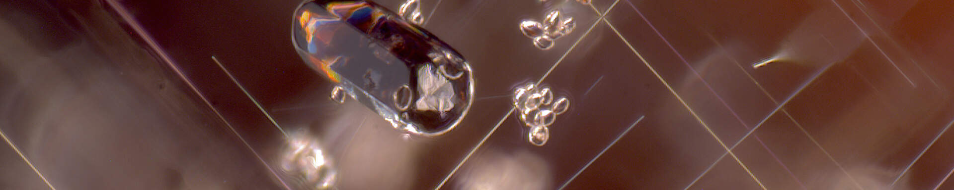 Inclusions of rutile (dark crystal and fine needles) and clusters of zircon grains in umbalite garnet, Tanzania