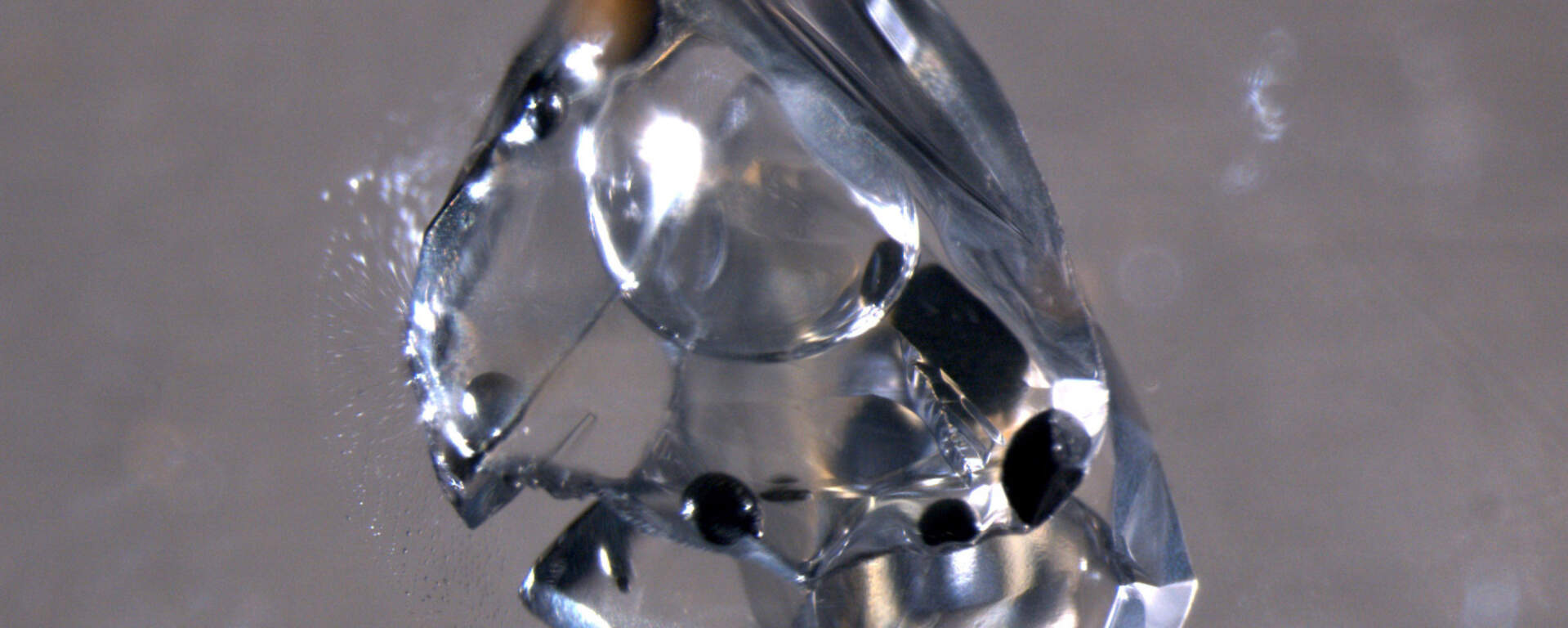 Fluid inclusions in quartz with bituminous daughter minerals, China