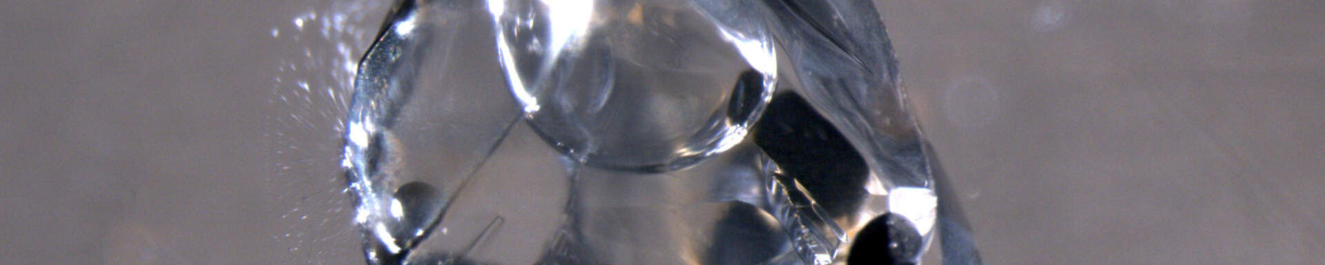 Fluid inclusions in quartz with bituminous daughter minerals, China