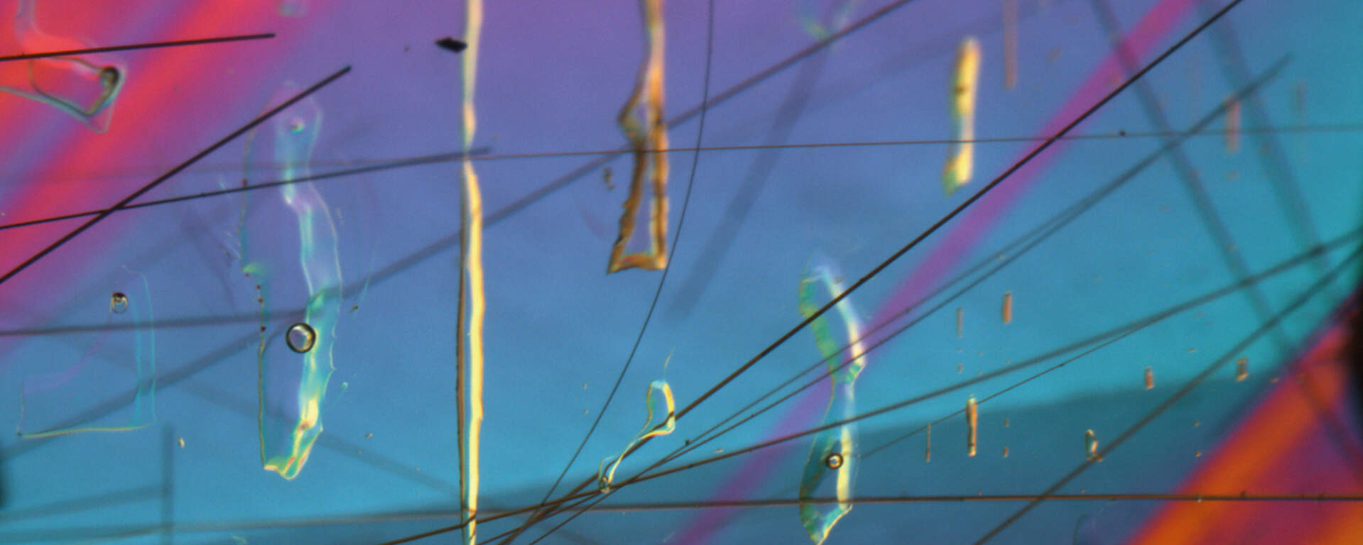 Two-Phase inclusions and rutile needles in rock crystal from Brazil