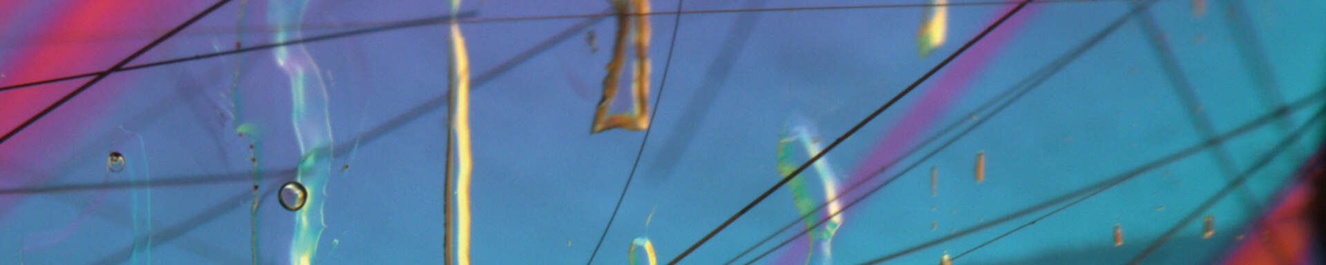 Two-Phase inclusions and rutile needles in rock crystal from Brazil